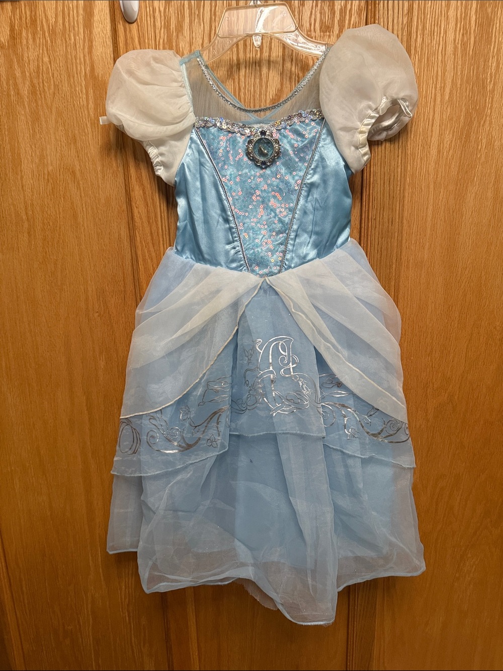 Blue Cinderella Princess Kids Costume Dress - Classic Fairy Tale Gown